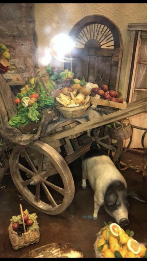 Ferienwohnung Rosy Monolocale Nel Centro Storico Di Torre Annunziata Di Fronte Scavi Oplonti Exterior foto
